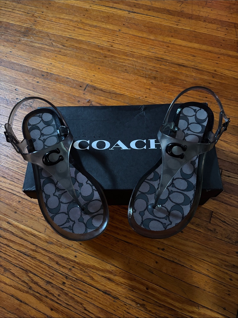 Coach Clear Jelly Logo Thong Sandals in Gray and Black
